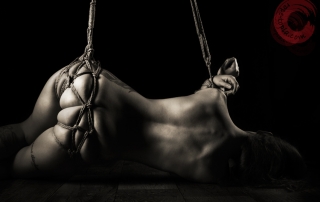 Shibari, bondage, suspension, partial, bum, bottom, tied